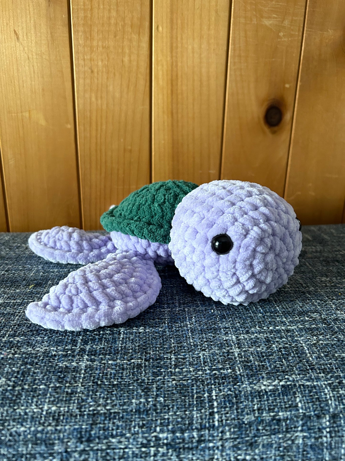 Tortue Lilas