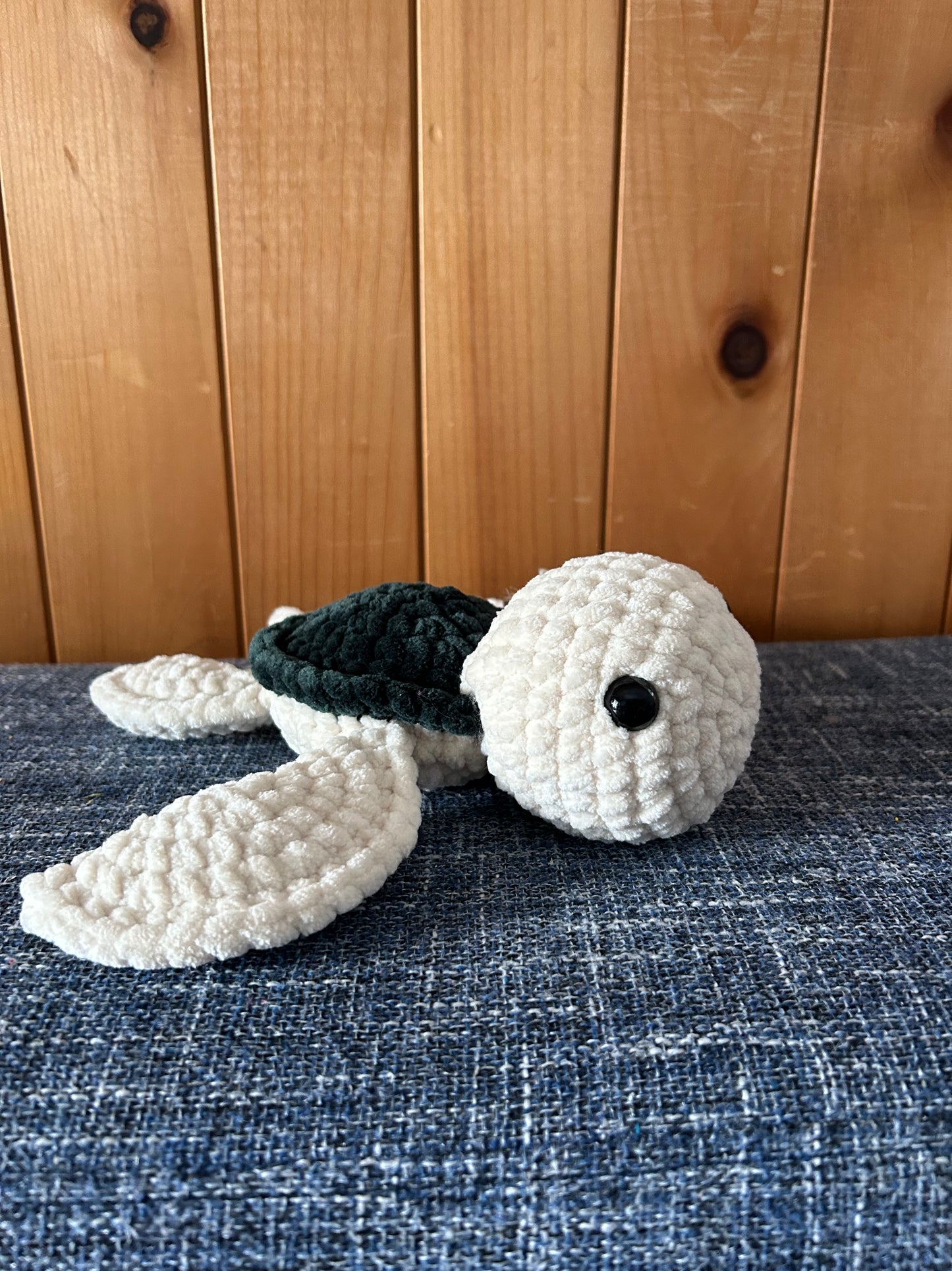 Tortue crème