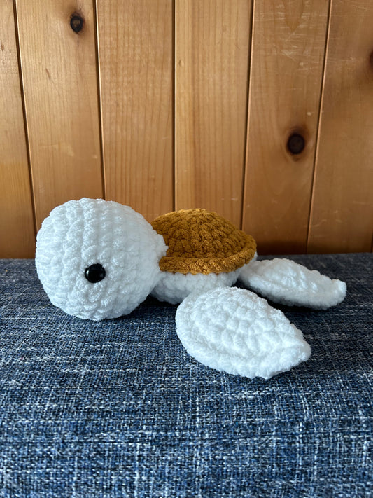 Tortue marguerite