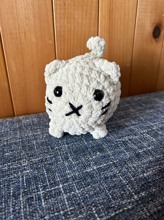 Petit chat beige