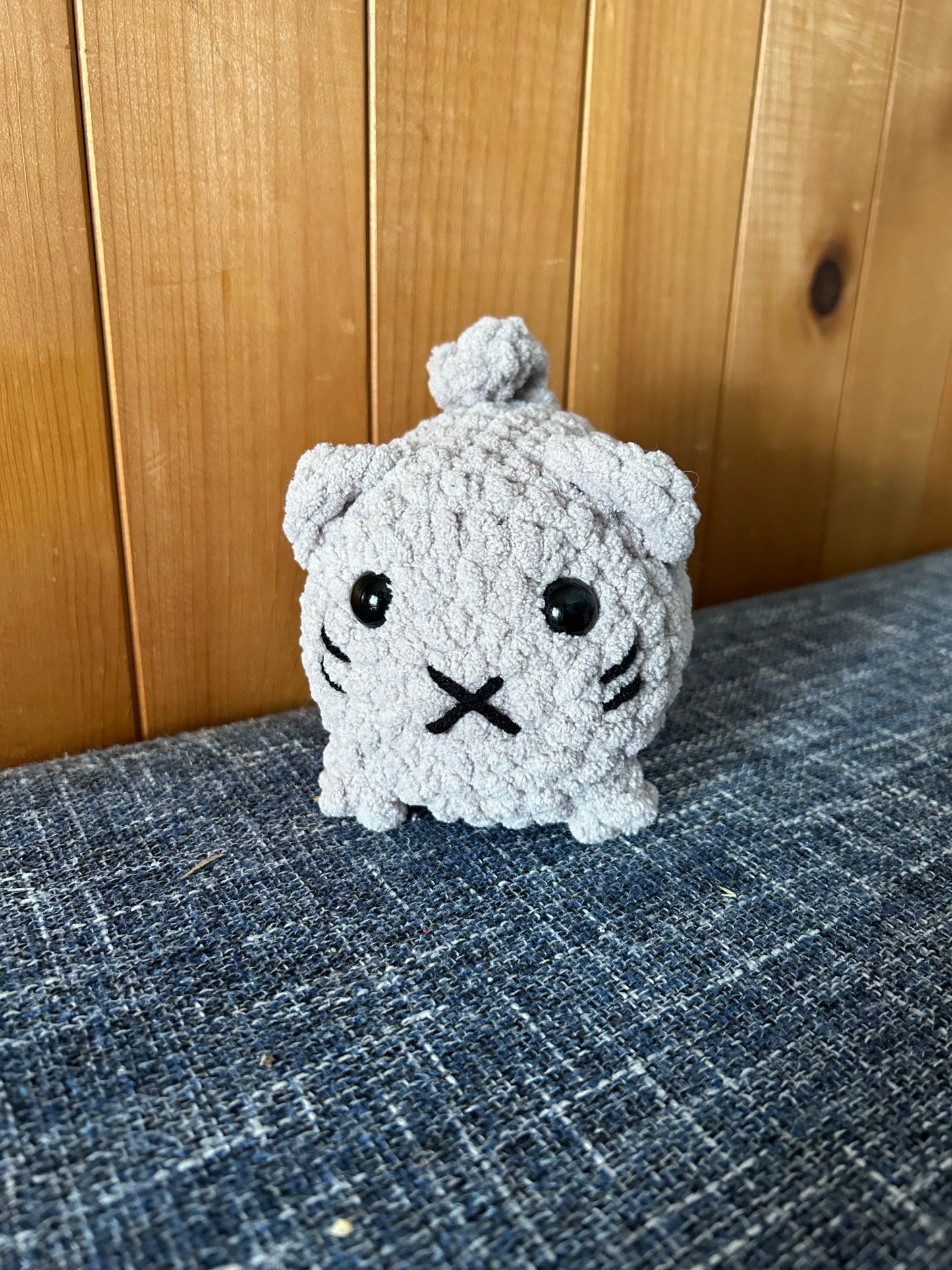 Petit chat gris