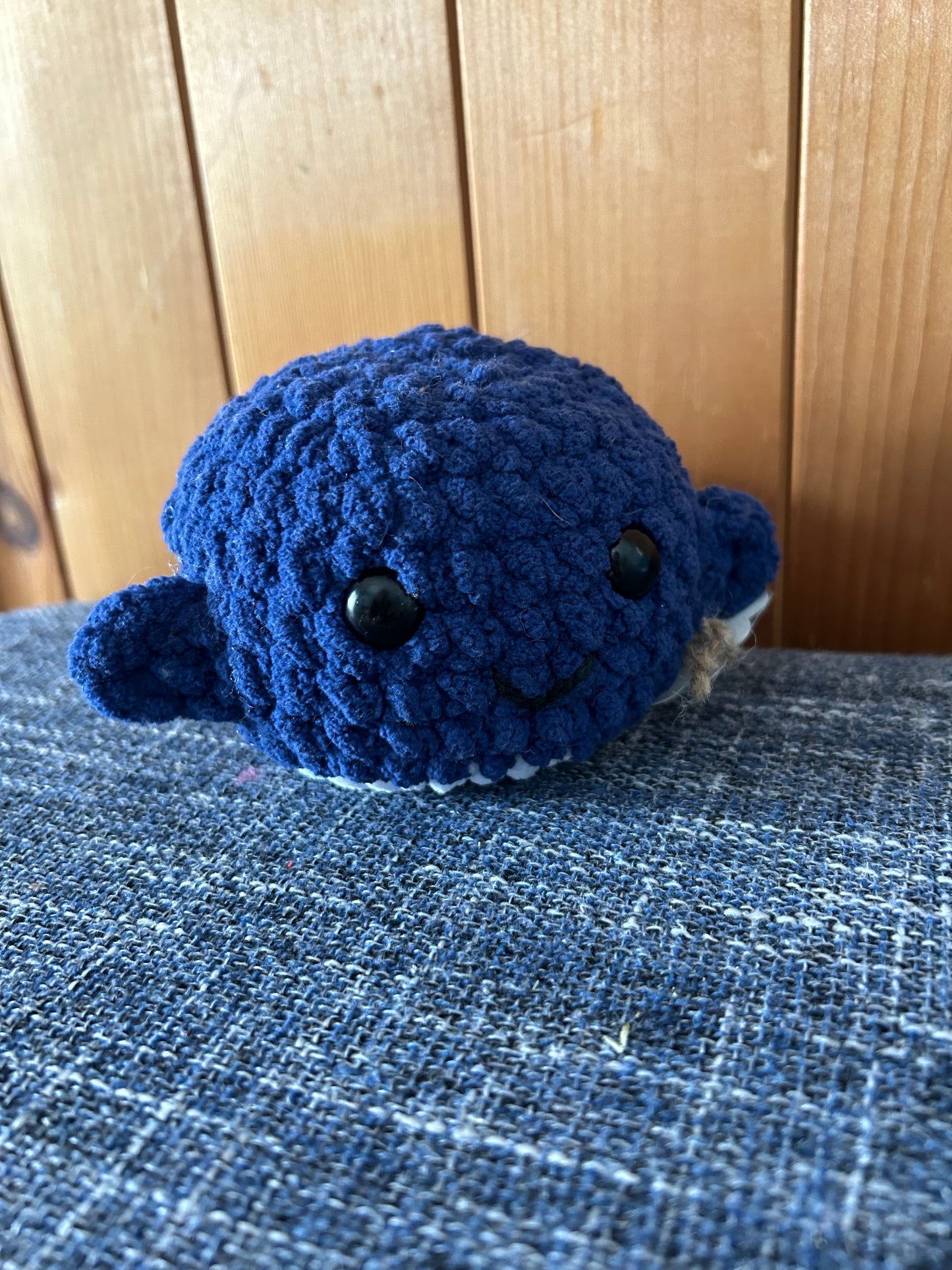 Baleine bleue